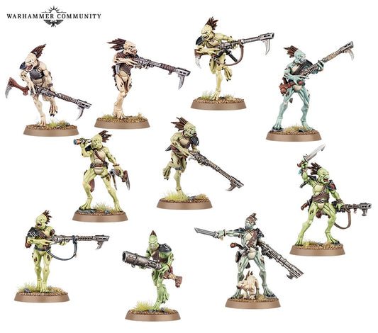 Warhammer 40K: Tau Empire - Kroot Carnivore Squad