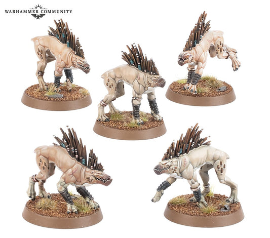 Warhammer 40K: Tau Empire - Kroot Hounds