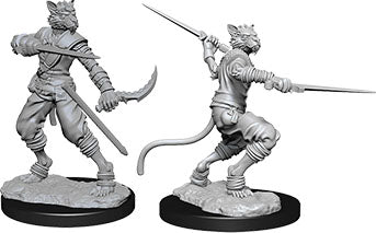 Dungeons & Dragons: Nolzur's Marvelous Unpainted Miniatures - W07 Tabaxi Male Rogue