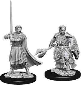 Dungeons & Dragons: Nolzur's Marvelous Unpainted Miniatures - W08 Male Human Cleric