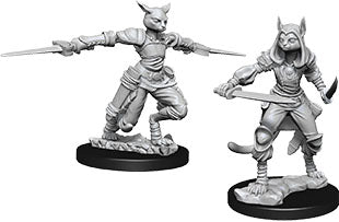 Dungeons & Dragons: Nolzur's Marvelous Unpainted Miniatures - W09 Female Tabaxi Rogue