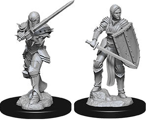 Dungeons & Dragons: Nolzur's Marvelous Unpainted Miniatures - W09 Female Human Fighter