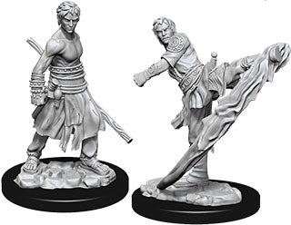 Dungeons & Dragons: Nolzur's Marvelous Unpainted Miniatures - W10 Male Half-Elf Monk