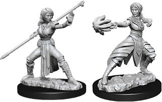 Dungeons & Dragons: Nolzur's Marvelous Unpainted Miniatures - W10 Female Half-Elf Monk