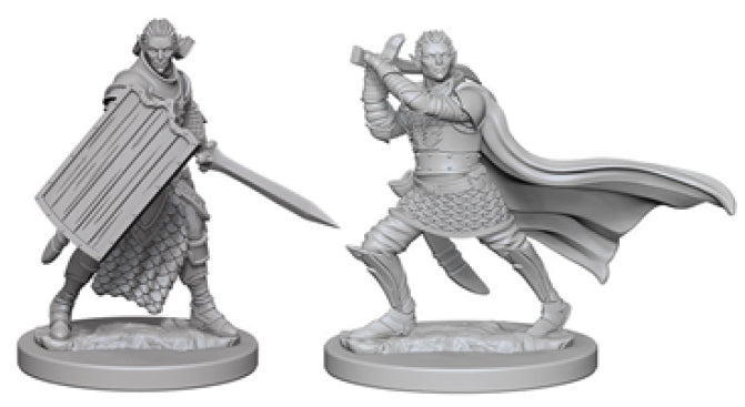 Pathfinder Deep Cuts Unpainted Miniatures: W02 Elf Male Paladin