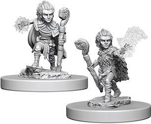 Pathfinder Deep Cuts Unpainted Miniatures: W05 Gnome Male Druid