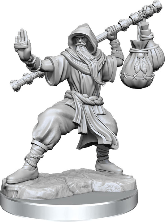 Dungeons & Dragons Frameworks: W01 Human Monk Male