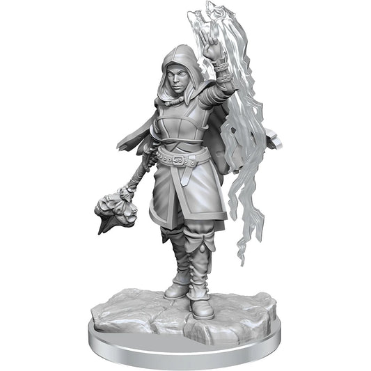 Dungeons & Dragons: Nolzur's Marvelous Unpainted Miniatures - W20 Half-Elf Warlock