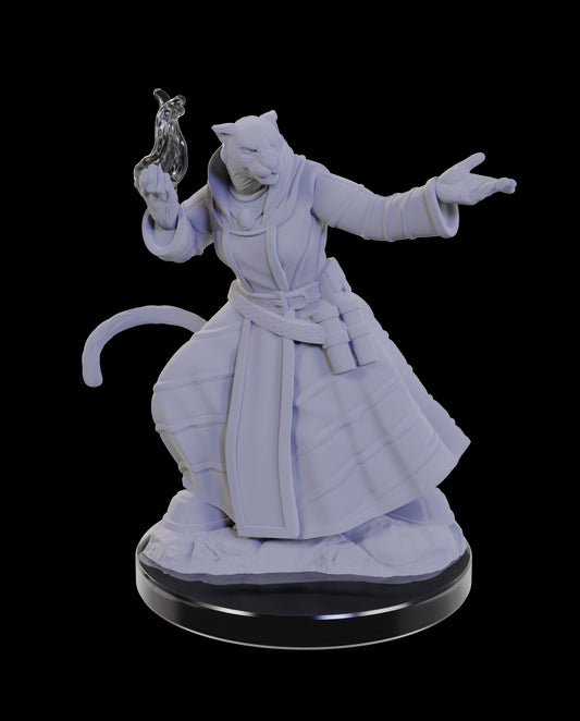 Critical Role Unpainted Miniatures: Lucien Tavelle & Cree Deeproots